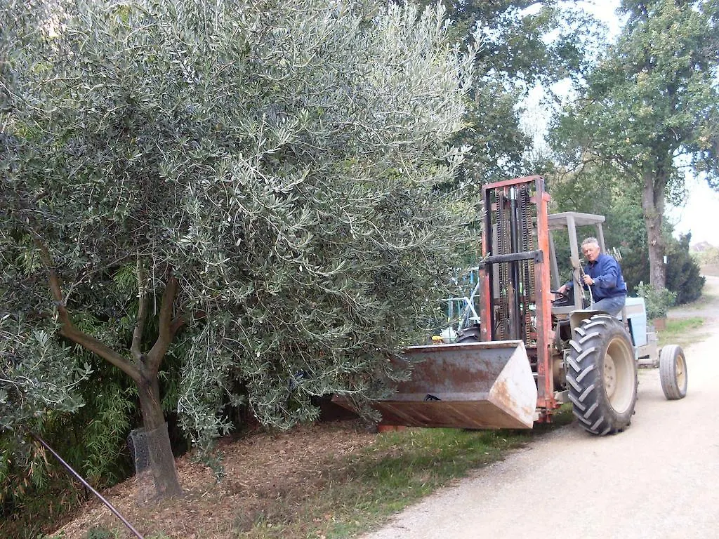 Agriturismo La Marletta Imola